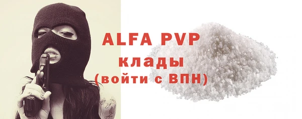 молекула духа Каменногорск