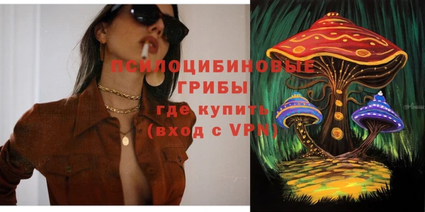молекула духа Каменногорск