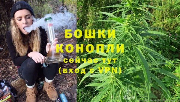 MESCALINE Каменка