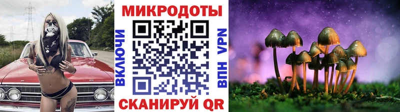 Псилоцибиновые грибы GOLDEN TEACHER Липки